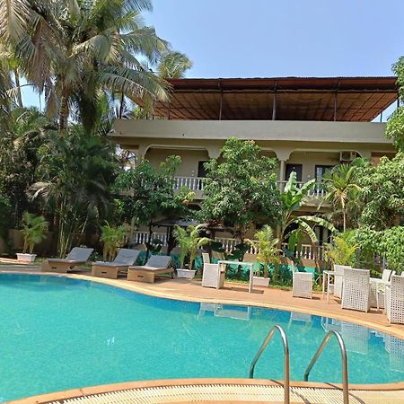 Tamara Luxury Resort Morjim Extérieur photo