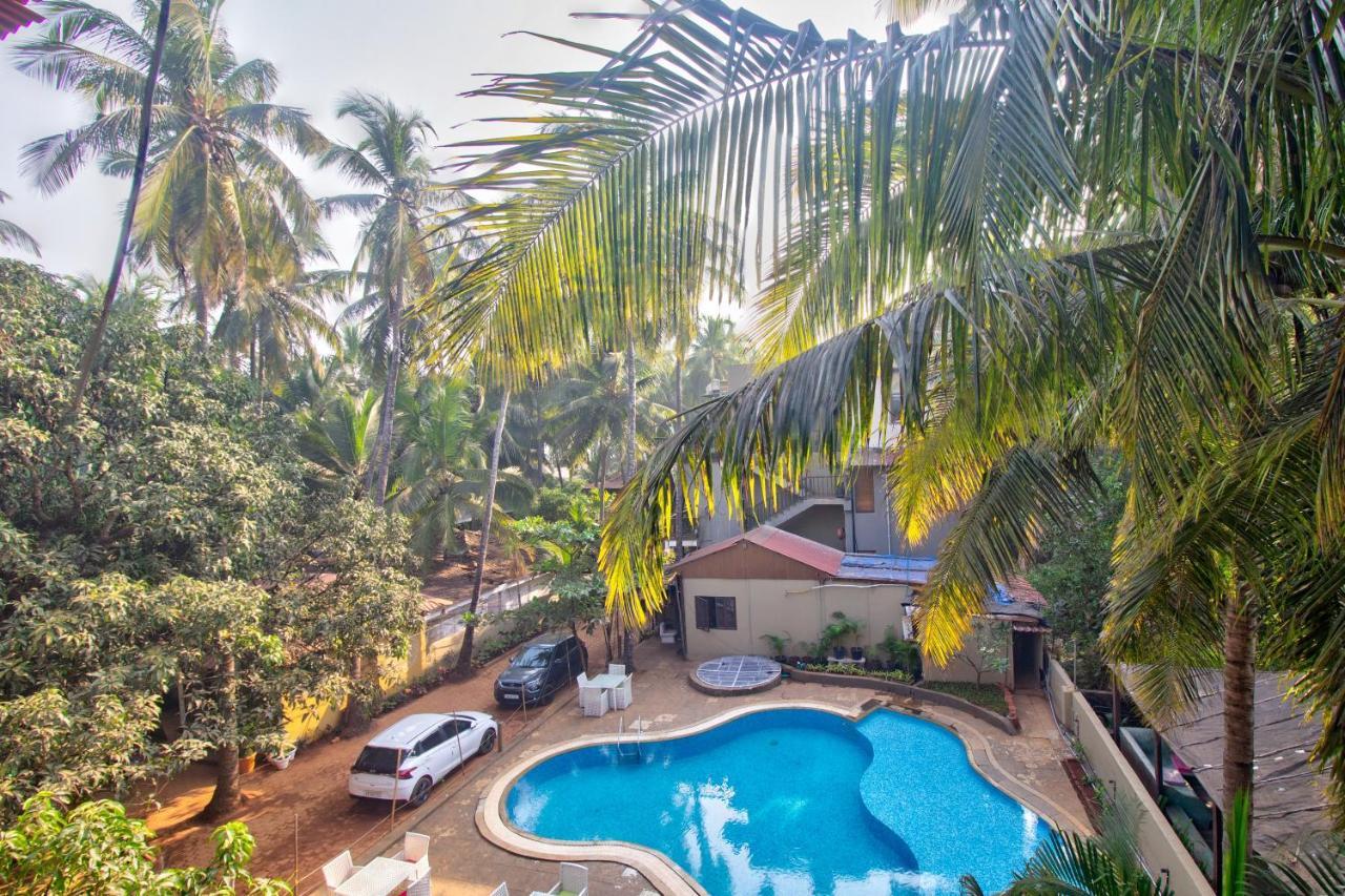 Tamara Luxury Resort Morjim Extérieur photo